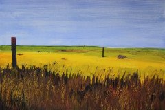 IMG_9160