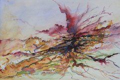 IMG_9200