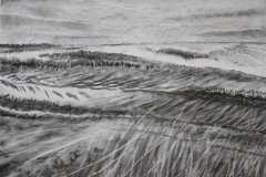 IMG_8982