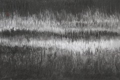 IMG_8984
