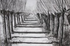 IMG_9110