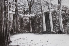 IMG_9111