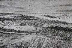 IMG_9115