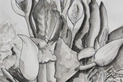 IMG_9063