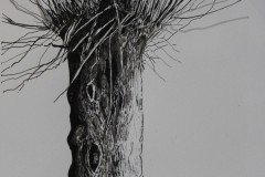 IMG_9191