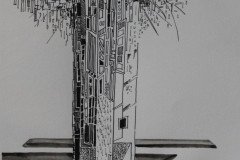 IMG_9192